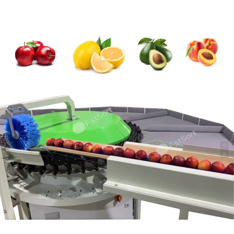 images/1769149156619Zhengzhou-First-Industry-Co-Ltd- (1).jpg